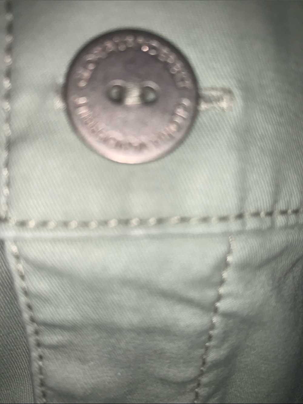 Gloria Vanderbilt Light Mint Green Shorts - Picture 3 of 12